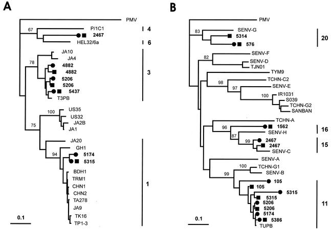 FIG. 2.