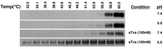 FIG. 8.