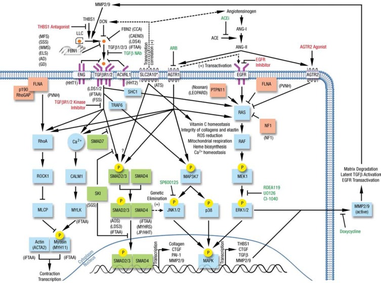 Fig. (1)