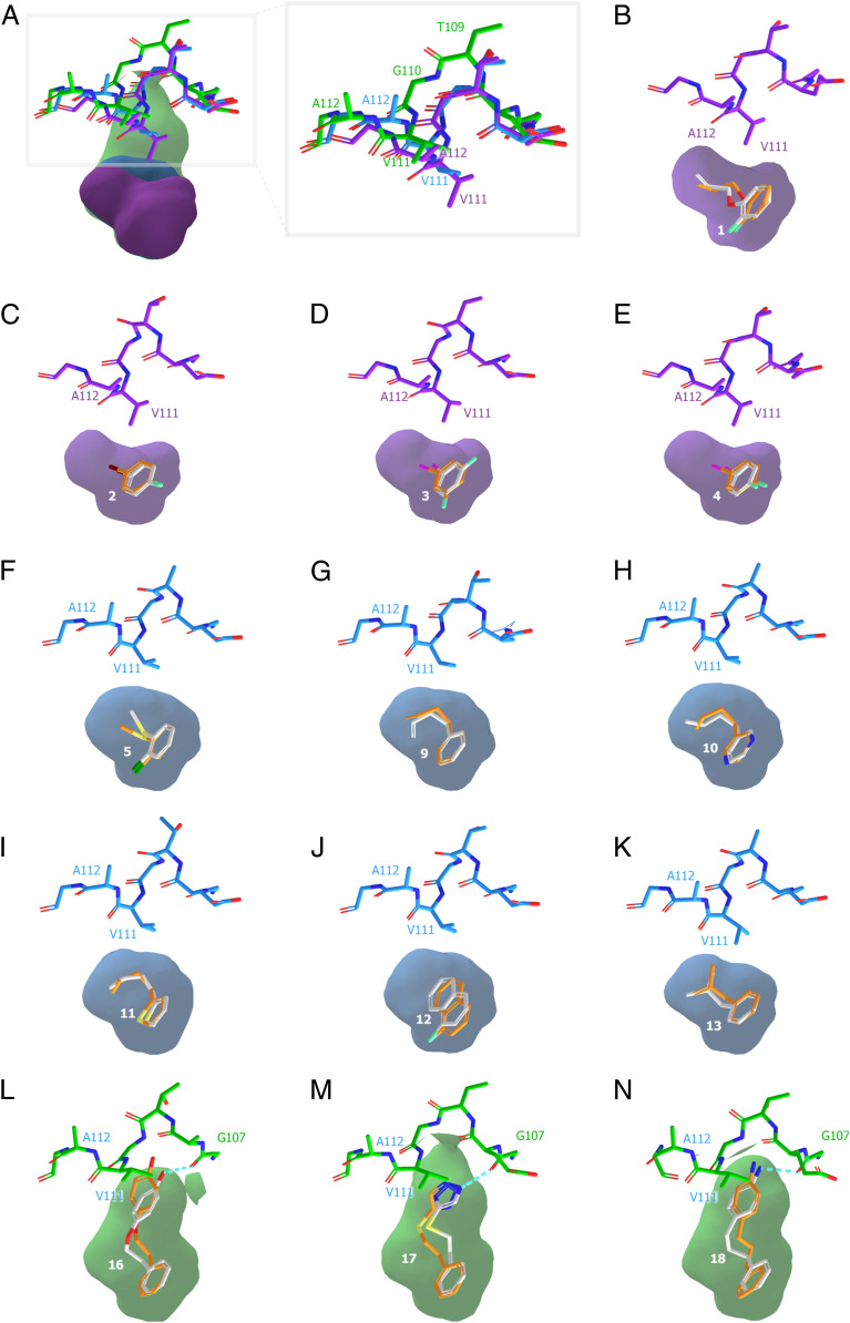 Fig. 4.