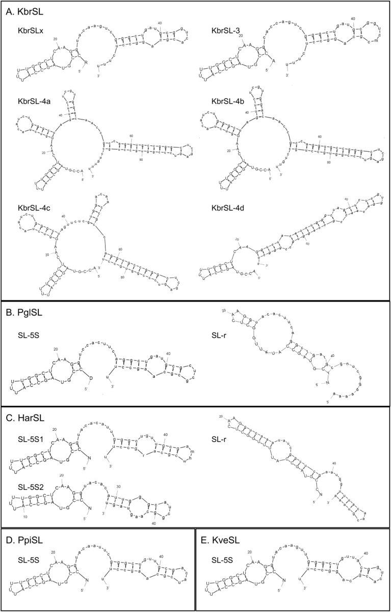 FIG. 5.—