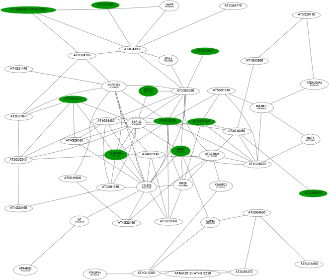 Figure 4.