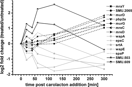 Fig. 8.