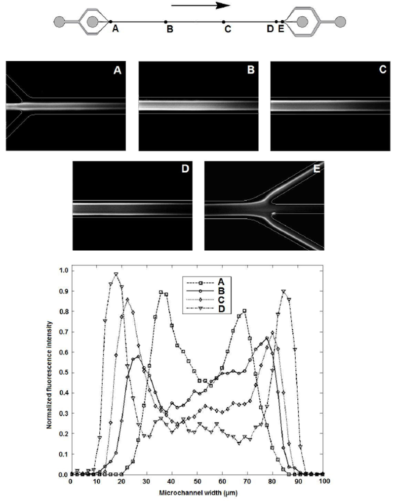 Figure 5: