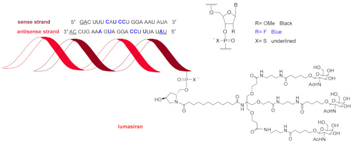 Figure 8