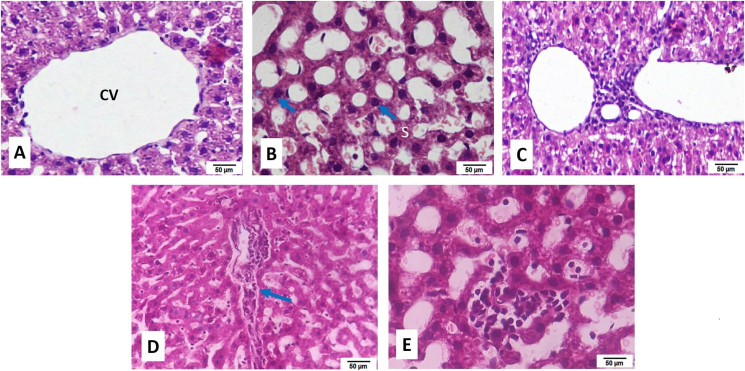 figs3