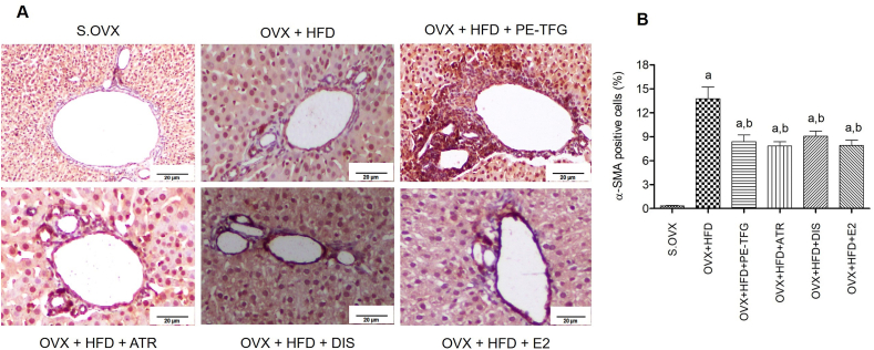 Fig. 6