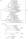 FIG. 13