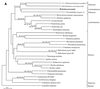 FIG. 12