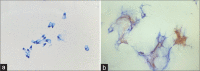Figure 2: