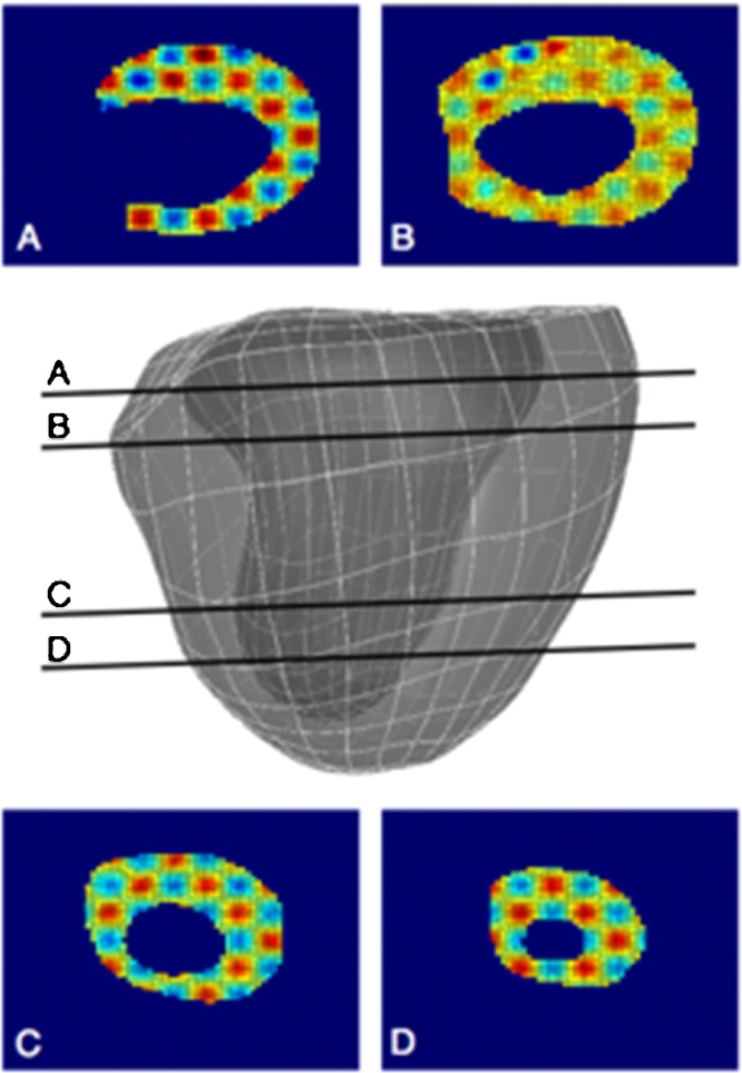 Fig. 7