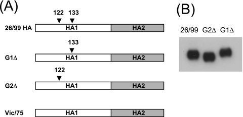 FIG. 5.