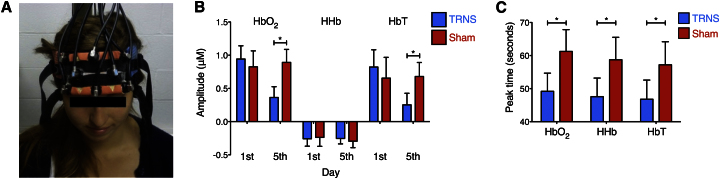 Figure 3