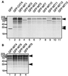 FIG. 6