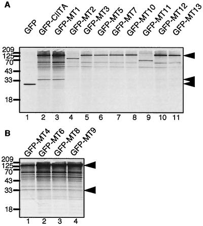 FIG. 6