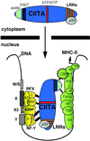 FIG. 7