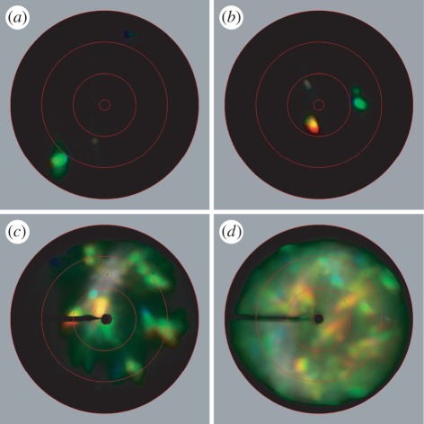 Figure 4.