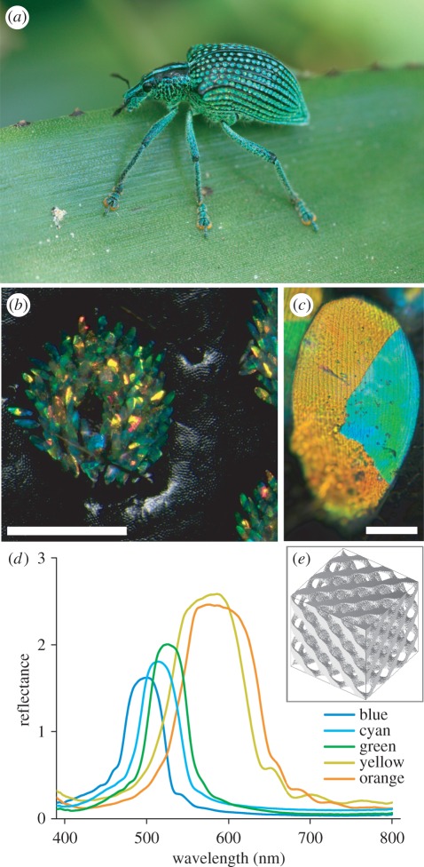 Figure 1.