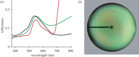 Figure 5.