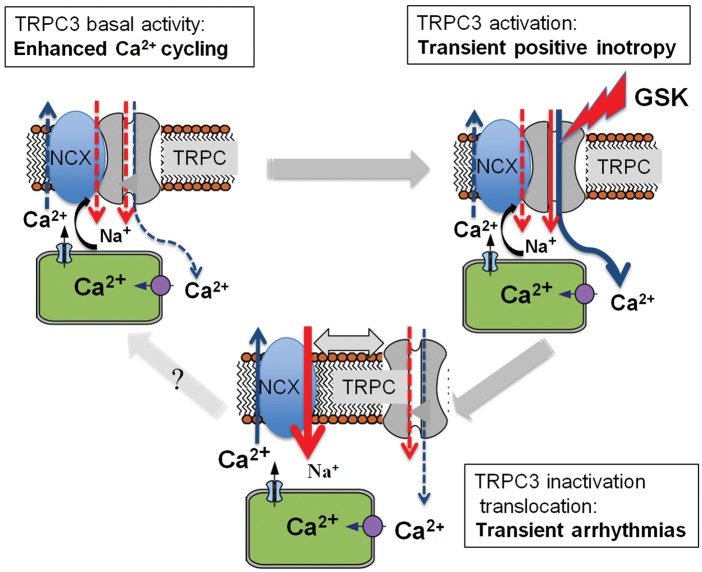 Figure 7