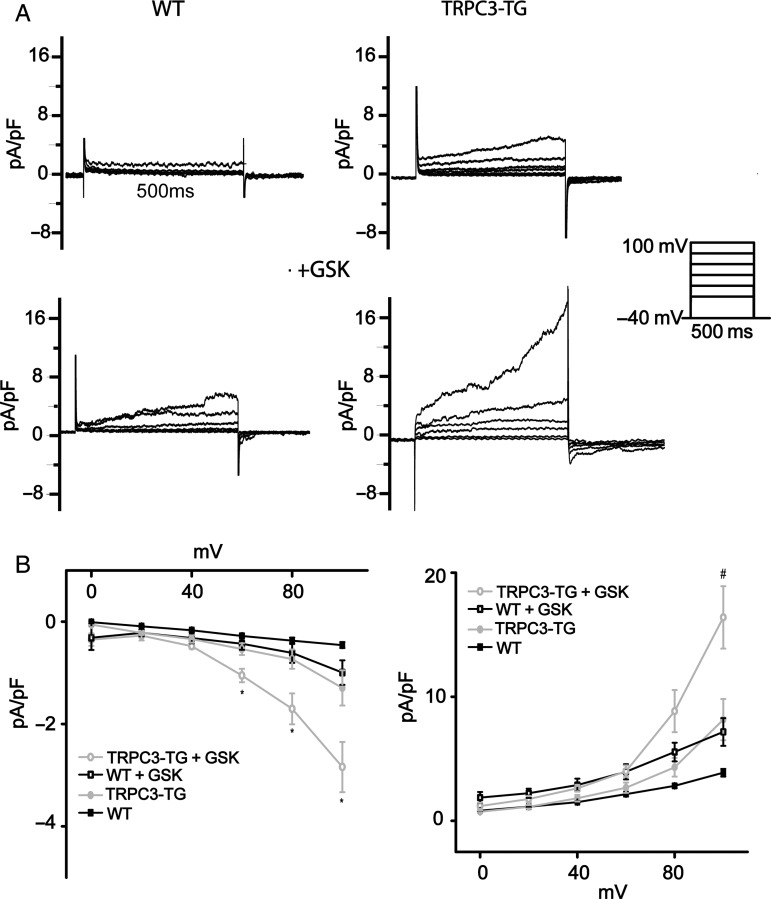 Figure 4