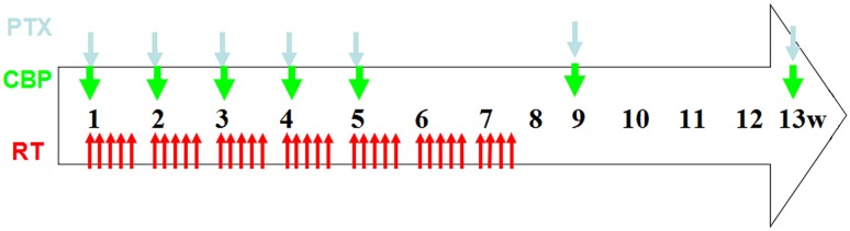 Fig. 1