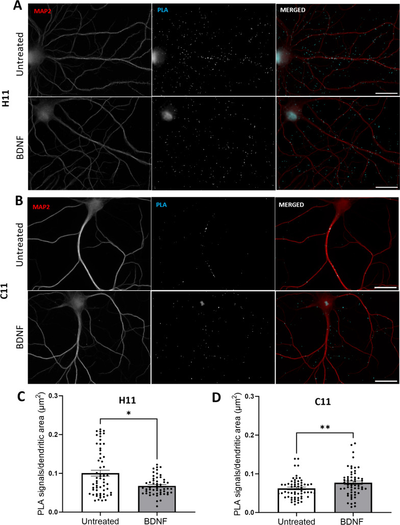 Fig. 7