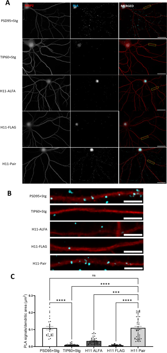 Fig. 3
