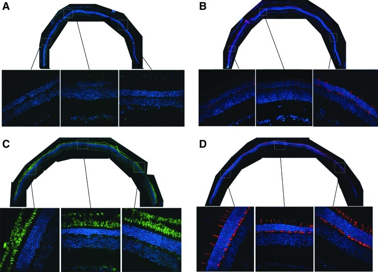 FIG. 6.