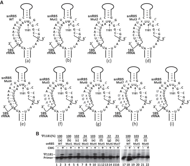 FIGURE 6.