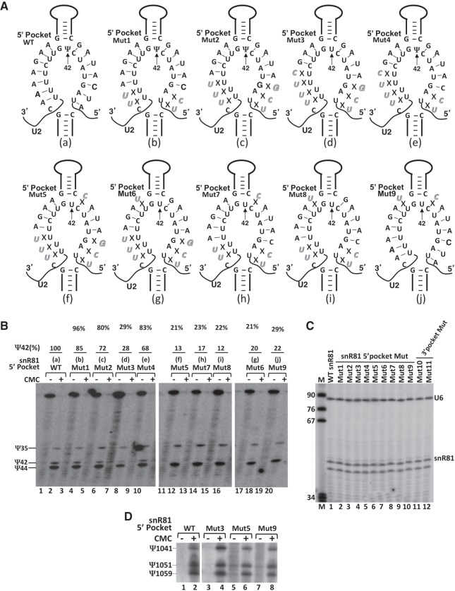 FIGURE 3.