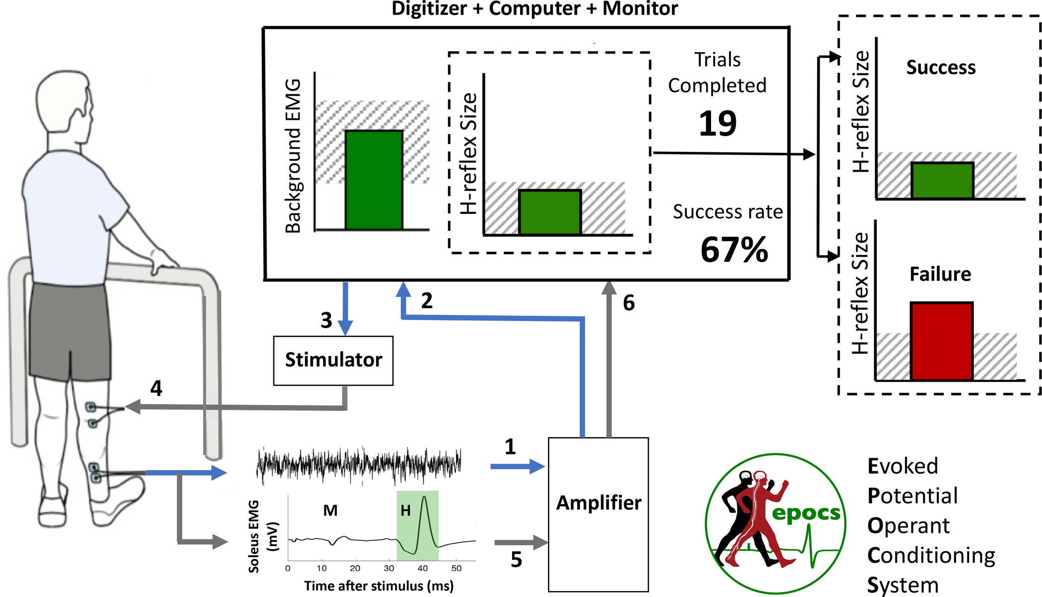 Figure 1:
