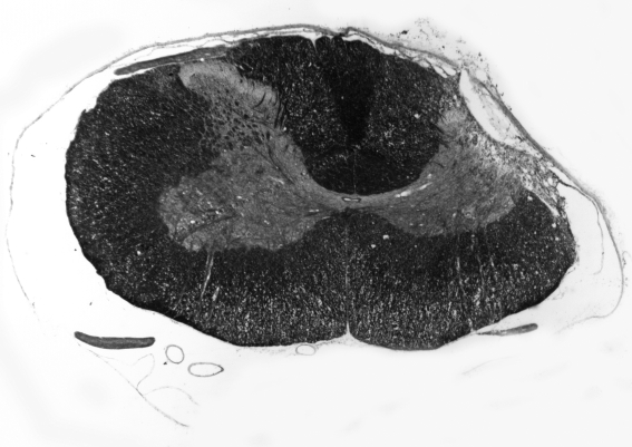 FIG. 5.