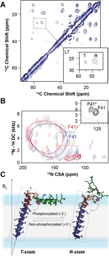 Figure 5: