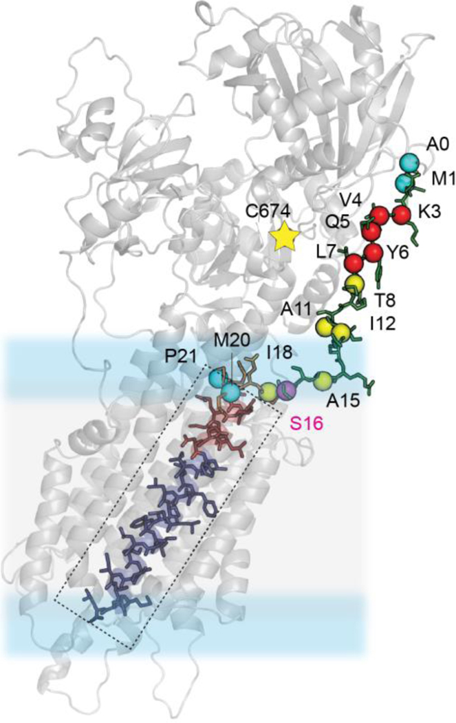 Figure 6: