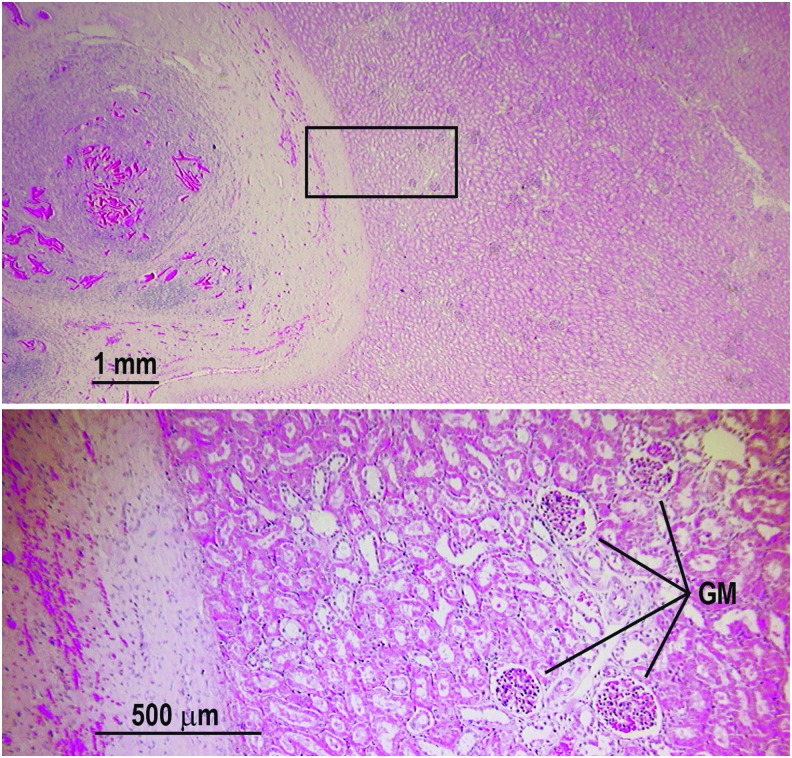 FIG. 4.