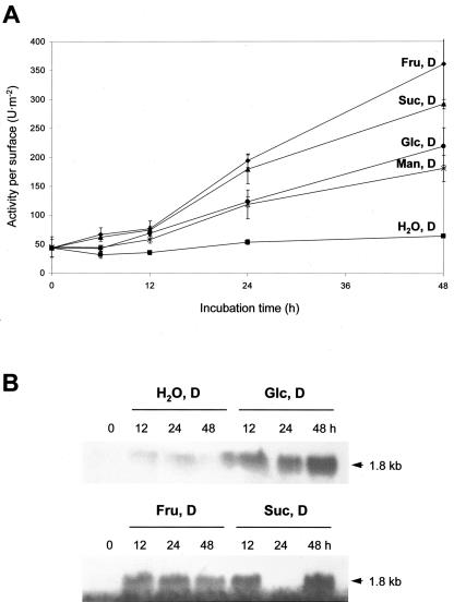 Figure 2.