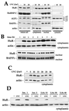 FIG. 6