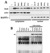 FIG. 8