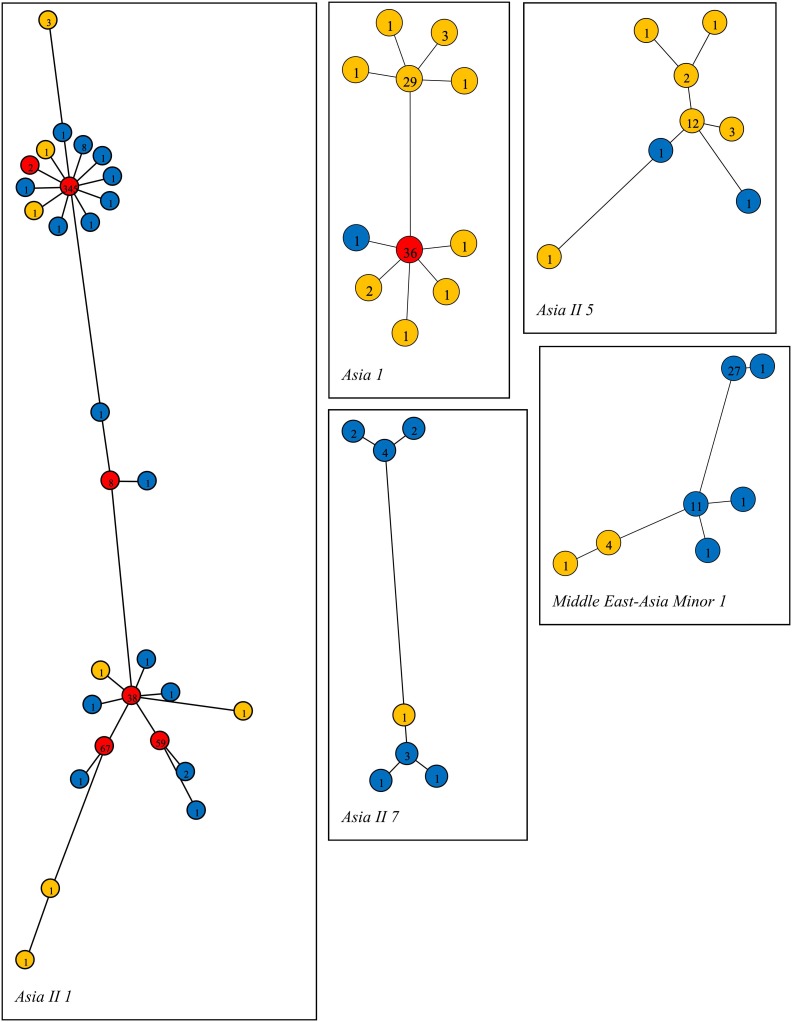 Figure 6