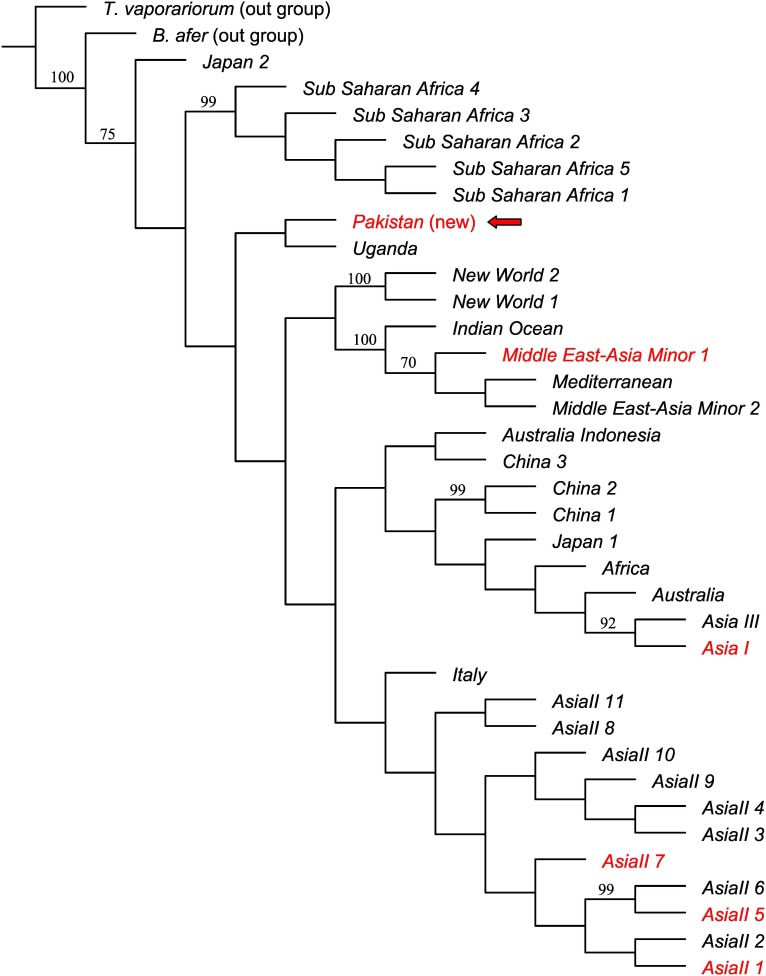 Figure 5