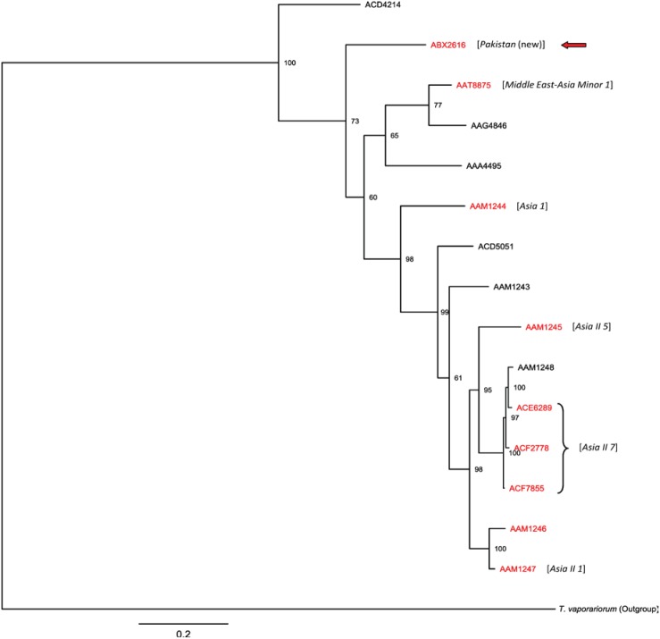 Figure 2