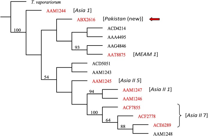 Figure 4