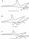 Figure 13