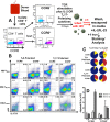 FIG 3