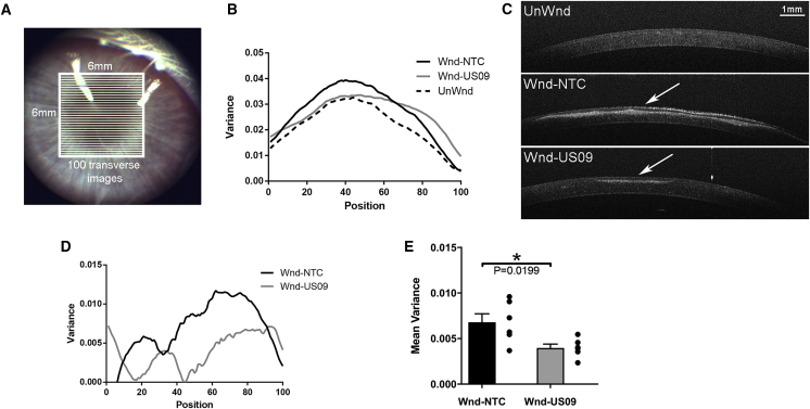 Figure 2