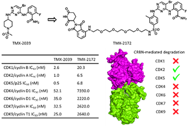 graphic file with name nihms-1637531-f0001.jpg