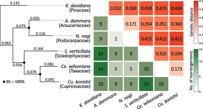 Fig. 2