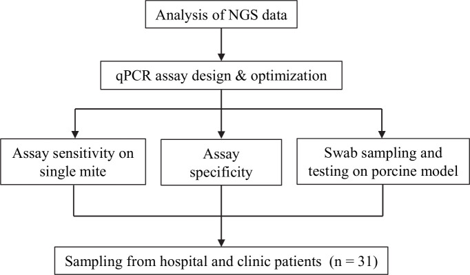 Fig 1