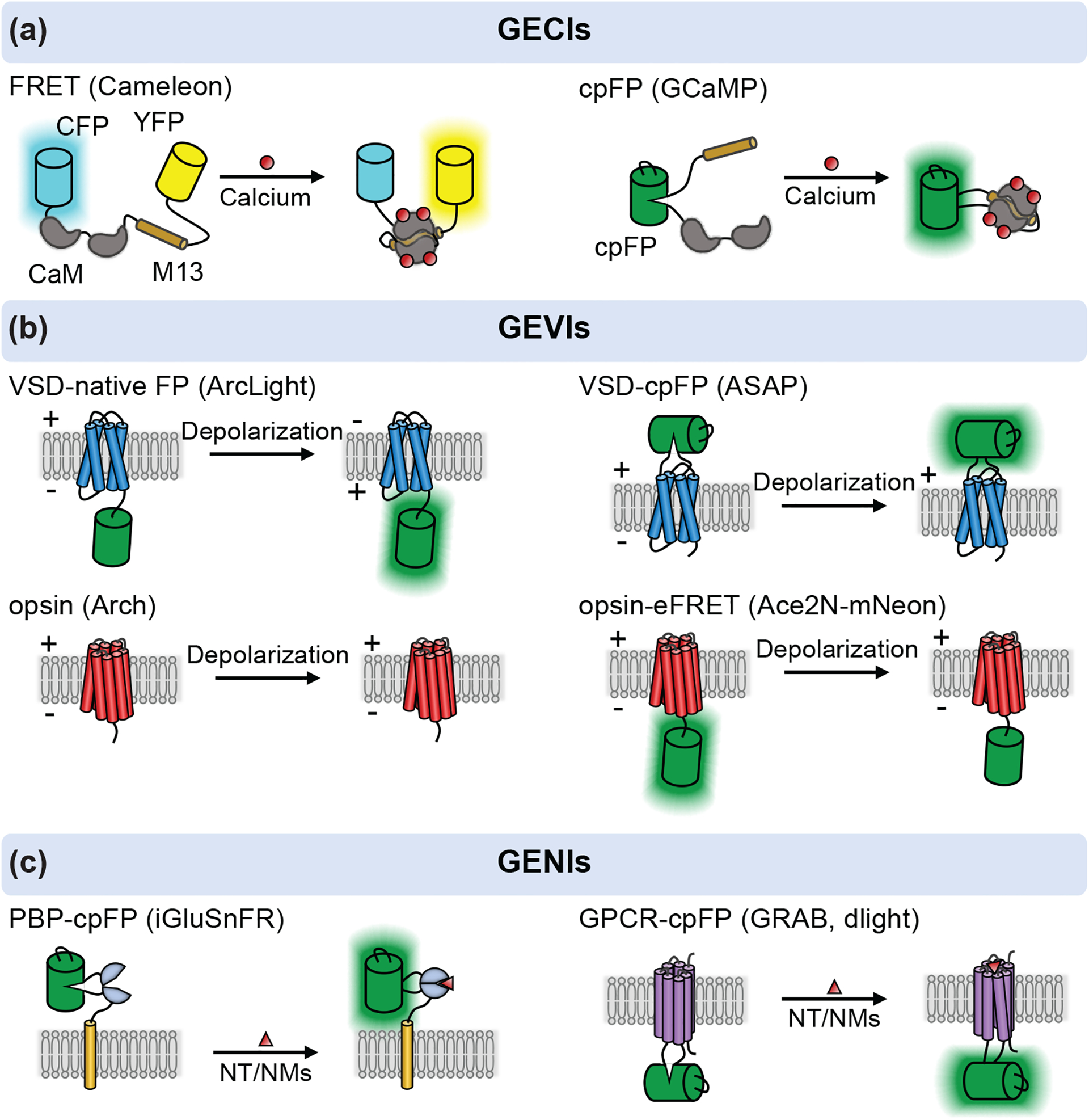 Figure 1: